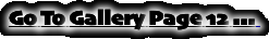 Go To Gallery Page 12