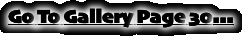 Go To Gallery Page 30...