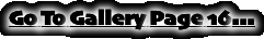 Go To Gallery Page 16...